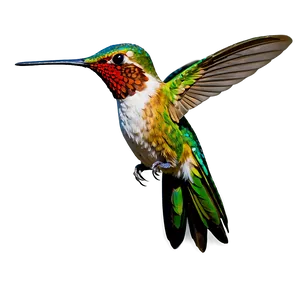 Hummingbird Hovering Png 85 PNG Image