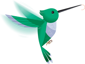 Hummingbird Images Hd Photos Clipart - Hummingbird Clipart Transparent Background, HD Png Download PNG image with transparent background