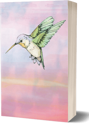 Hummingbird [red Sunset Cover - Hummingbird Art Jude Angelini Review, HD Png Download PNG image with transparent background
