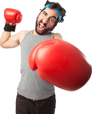 Humorous Boxer Readyfor Action PNG Image