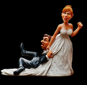 Humorous Wedding Cake Topper PNG