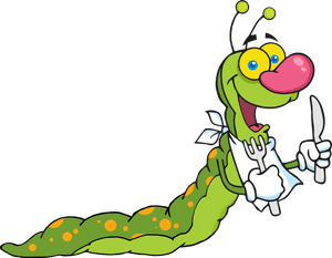 Transparent Hungry Caterpillar Png - Caterpillar Cartoon, Png Download PNG with transparent background