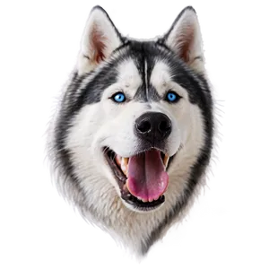 Husky Dog Head Png Kdj PNG Image