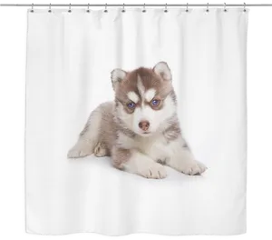 Husky Puppy Shower Curtain PNG Image