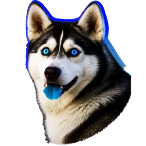 Husky With Blue Eyes Png 16 PNG Image