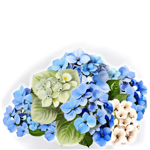 Hydrangea Bouquet PNG 05242024 PNG image with transparent background