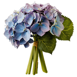 Hydrangea Bouquet PNG 35 PNG image with transparent background