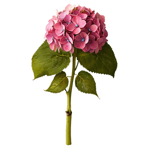 Hydrangea Bouquet PNG eue27 PNG image with transparent background