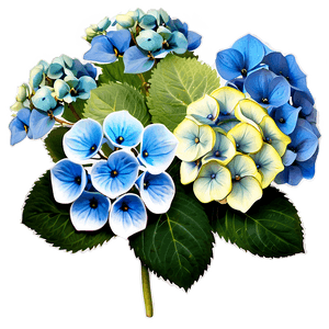 Hydrangea Flower PNG lrg88 PNG image with transparent background