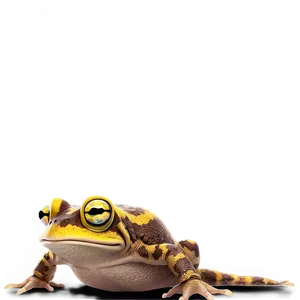 Hypnotoad Cool Graphic Png 50 PNG Image