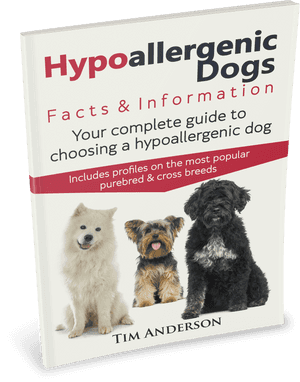 Companion Dog, HD Png Download PNG