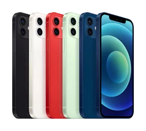 I Phone12 Color Options PNG Image