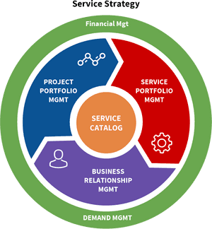 I T Service Strategy Portfolio Management Model.png PNG image with transparent background