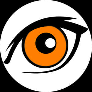 Brown Eyes Clipart Large Eye - Brown Eye Clipart, HD Png Download PNG