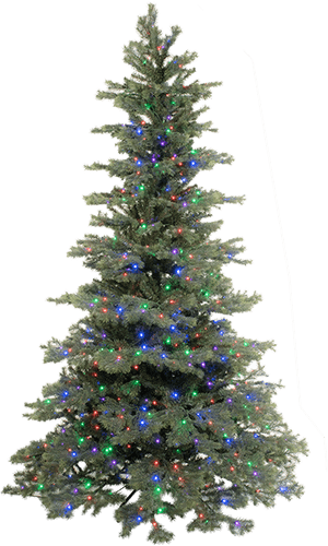 Illuminated Christmas Tree.png PNG image with transparent background