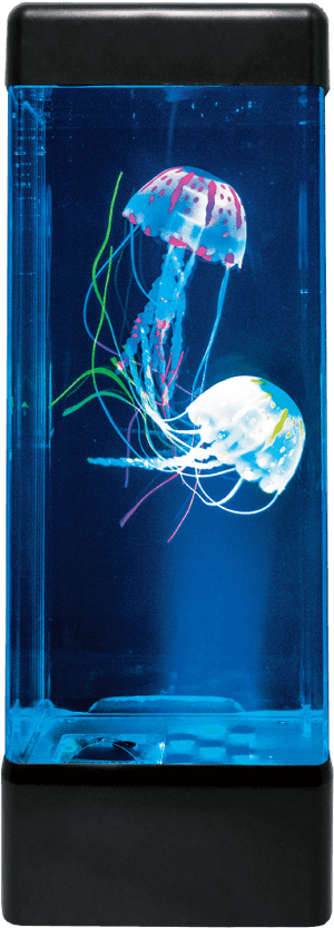 Jellyfish Tank Png, Transparent Png PNG image with transparent background
