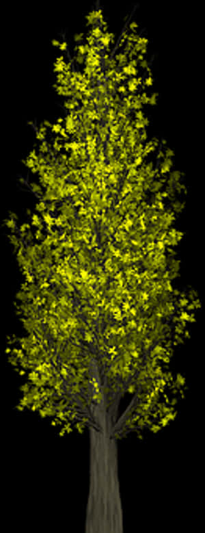 Illuminated Treeat Night.jpg PNG image with transparent background