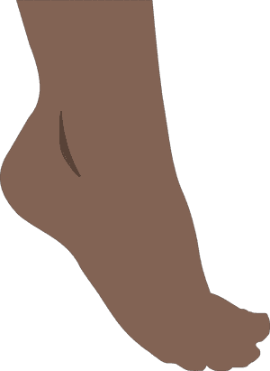 Foot Clip Art, HD Png Download PNG image with transparent background