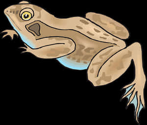 Illustrated Brown Frog Graphic PNG image with transparent background