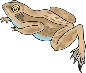 Illustrated Brown Frog Graphic PNG Image