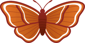 Free Moth Cliparts, Download Free Clip Art, Free Clip - Moth Clipart, HD Png Download PNG
