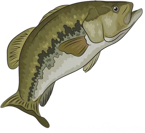 Illustrated Carp Fish PNG Image