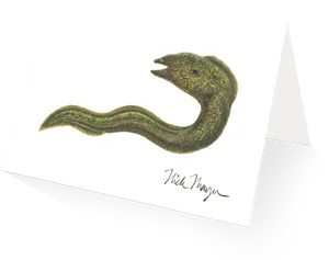 Illustrated Eel Artwork PNG Image