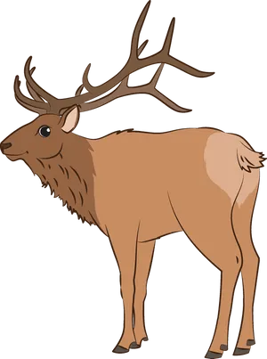 Illustrated Elk Standing Side View PNG Image