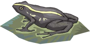 Illustrated Grey Frog On Leaf PNG Image