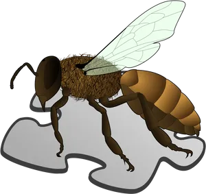 Illustrated Honey Bee Graphic PNG Image