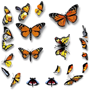 Illustrated Monarch Butterflies Png 20 PNG Image