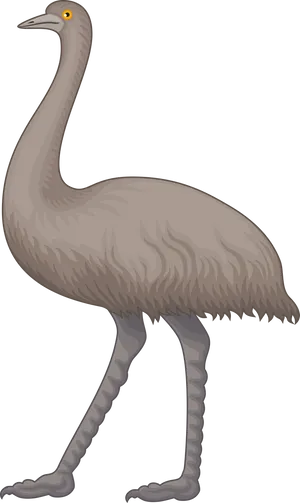 Illustrated Ostrich Standing PNG Image