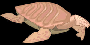 Illustrated Sea Turtle Graphic PNG image with transparent background
