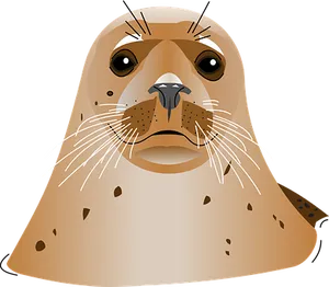 Illustrated Seal Portrait PNG Image