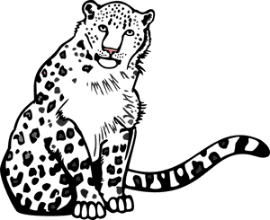Transparent Leopard Clipart - Snow Leopard Images Outline, HD Png Download PNG image with transparent background