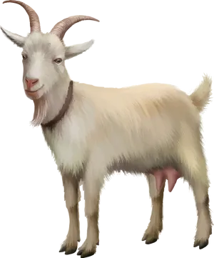 Illustrated White Goat Portrait PNG Image