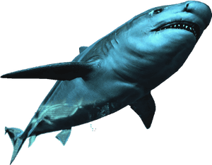 Image Ac Db Assassin - Assassin's Creed Bull Shark PNG image with transparent background