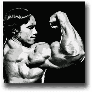 Image Of Arnold Schwarzenegger - Bodybuilding Fotos Arnold Schwarzenegger, HD Png Download PNG image with transparent background