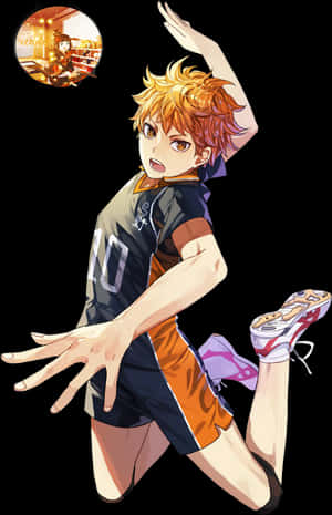 Image Result For Hinata Shouyou Profile Iwaizumi Hajime, - Hinata Shoyo, HD Png Download PNG image with transparent background