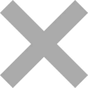 Incorrect Cross Symbol PNG Image