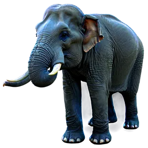 Indian Elephant Png 06112024 PNG Image