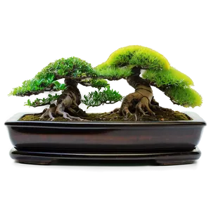 Indoor Bonsai Trees Png Egp72 PNG Image