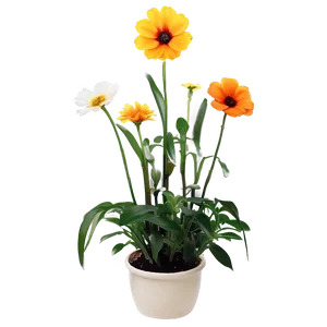 Indoor Flowering Plants Png Ndl PNG Image