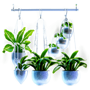 Indoor Hanging Plant PNG 05252024 PNG image with transparent background