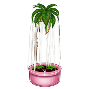 Indoor Hanging Plant PNG fsy80 PNG image with transparent background