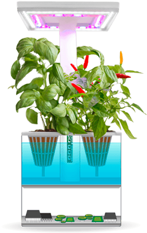 Urbigo Mini Smart Indoor Garden - Garden PNG with transparent background