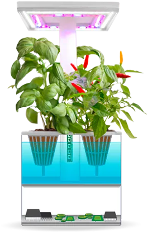 Indoor Hydroponic Garden System PNG Image