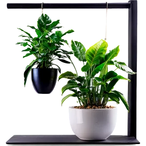 Indoor Plants For Health Png 06252024 PNG Image