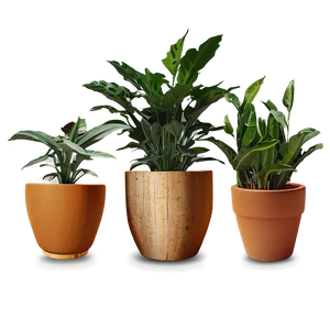 Indoor Plants In Pots Png 17 PNG Image