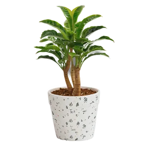 Indoor Potted Plants Png 06122024 PNG Image